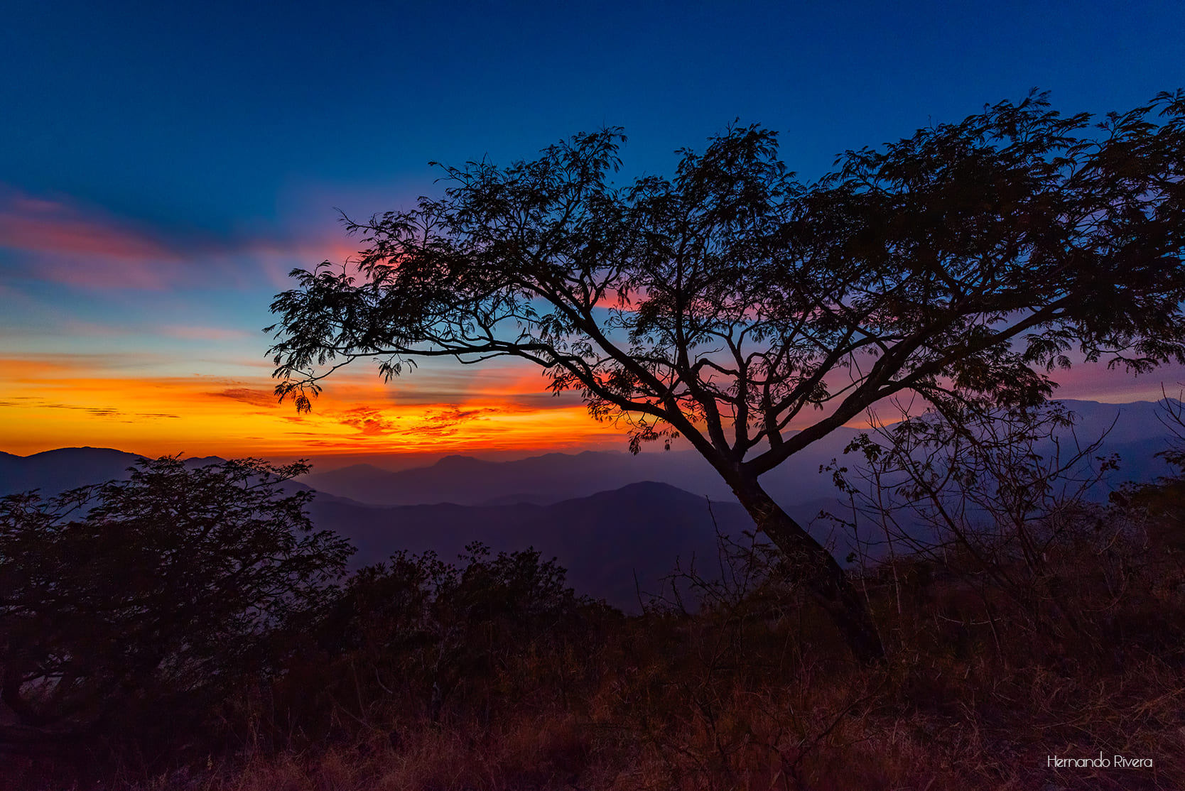 Minatitlán, tierra minera y cafetalera, donde la naturaleza, la tradición y el orgullo colimense se encuentran en cada rincón. Image